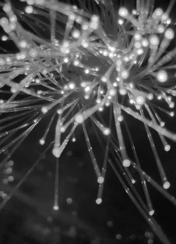 Abstract visualisation of a neural network of connected nodes of light